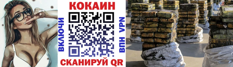 дарнет шоп  Алексеевка  COCAIN Эквадор 