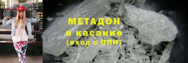 прущие грибы Переславль-Залесский