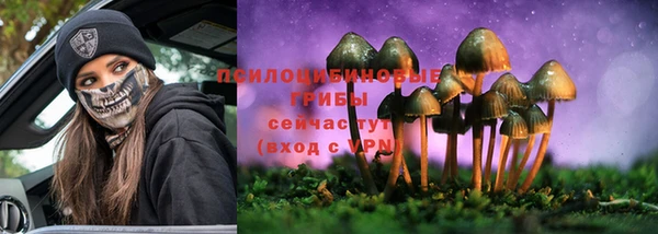 ECSTASY Алексеевка